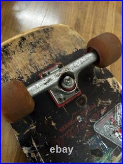 1984 / Powell Peralta / Mike McGill / Skull & Snake / Complete / Independent