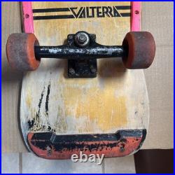 1987 Variflex Beach Boys Surfin Safari Two Handle Skateboard Wall Art