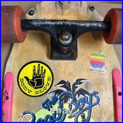 1987 Variflex Beach Boys Surfin Safari Two Handle Skateboard Wall Art