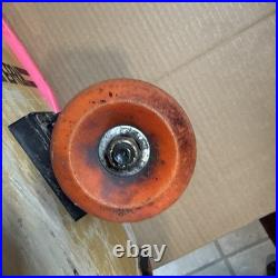 1987 Variflex Beach Boys Surfin Safari Two Handle Skateboard Wall Art