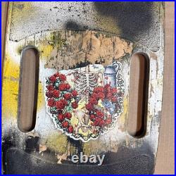 1987 Variflex Beach Boys Surfin Safari Two Handle Skateboard Wall Art