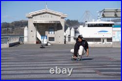Cruiser 29X10 7-Ply North American Maple Deck, Carving Truck, Fully Assemble