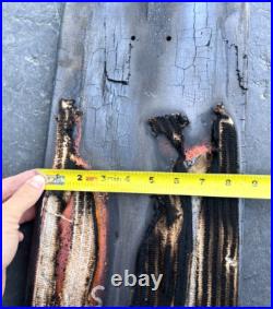 Rare Marc Johnson Original Art Skateboard Deck Dashawn Jordan Business Company