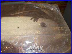 Ricky Winsor Sacto Blue Ribbon Vintage Circle A Design Skateboard Deck