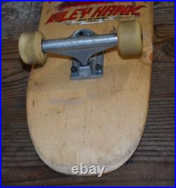Riley Hawk Skateboard Chicken Skull Baker Vintage