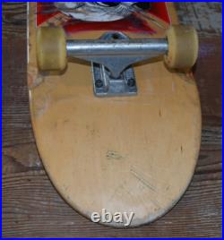 Riley Hawk Skateboard Chicken Skull Baker Vintage