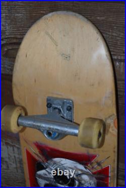 Riley Hawk Skateboard Chicken Skull Baker Vintage