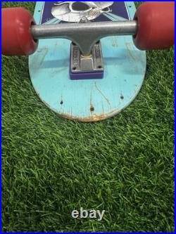 Tony Hawk Powell Peralta Vintage 1985 Skateboard Deck OG Sea Foam Pig Rare