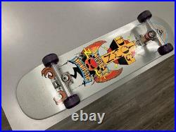 USED ONCE DogTown Dominate Silver Sparkle Car Paint complete Bones Clears purple USED ONCE DogTown Dominate Silver Sparkle Car Paint complete Bones Clears purple