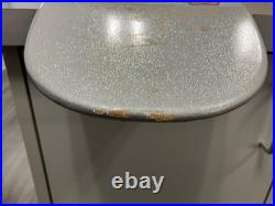 USED ONCE DogTown Dominate Silver Sparkle Car Paint complete Bones Clears purple