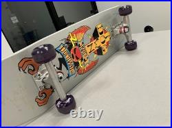 USED ONCE DogTown Dominate Silver Sparkle Car Paint complete Bones Clears purple