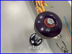 USED ONCE DogTown Dominate Silver Sparkle Car Paint complete Bones Clears purple