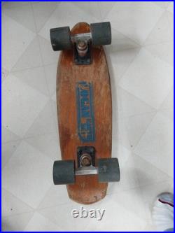 USED Vintage 70's Logan Earth Ski Skateboard