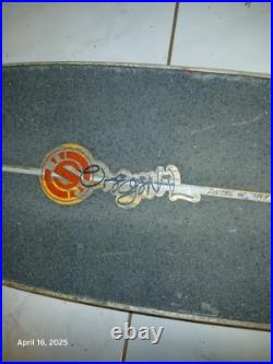 Vintage Jay Adams Longboard skateboard ocean scene cool