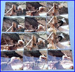 Vintage Skateboard Skateboarding Half-Pipe Vert Ramp Photo Photograph Lot of 70
