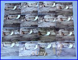 Vintage Skateboard Skateboarding Half-Pipe Vert Ramp Photo Photograph Lot of 70