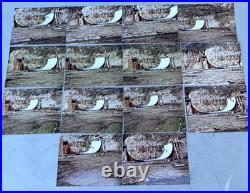 Vintage Skateboard Skateboarding Half-Pipe Vert Ramp Photo Photograph Lot of 70